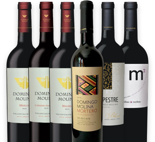 Domingo Molina x6